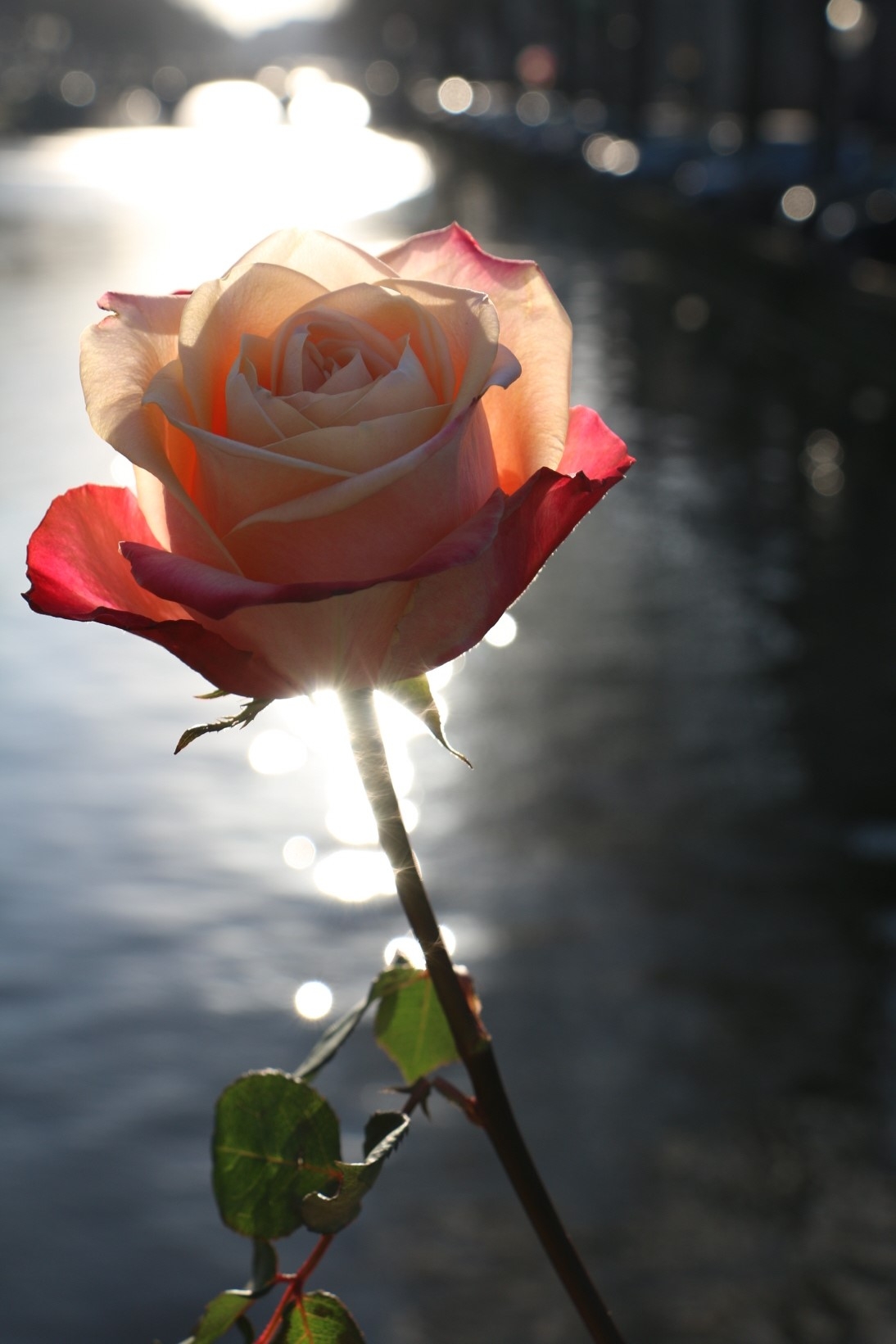 이름을 입력해주세요