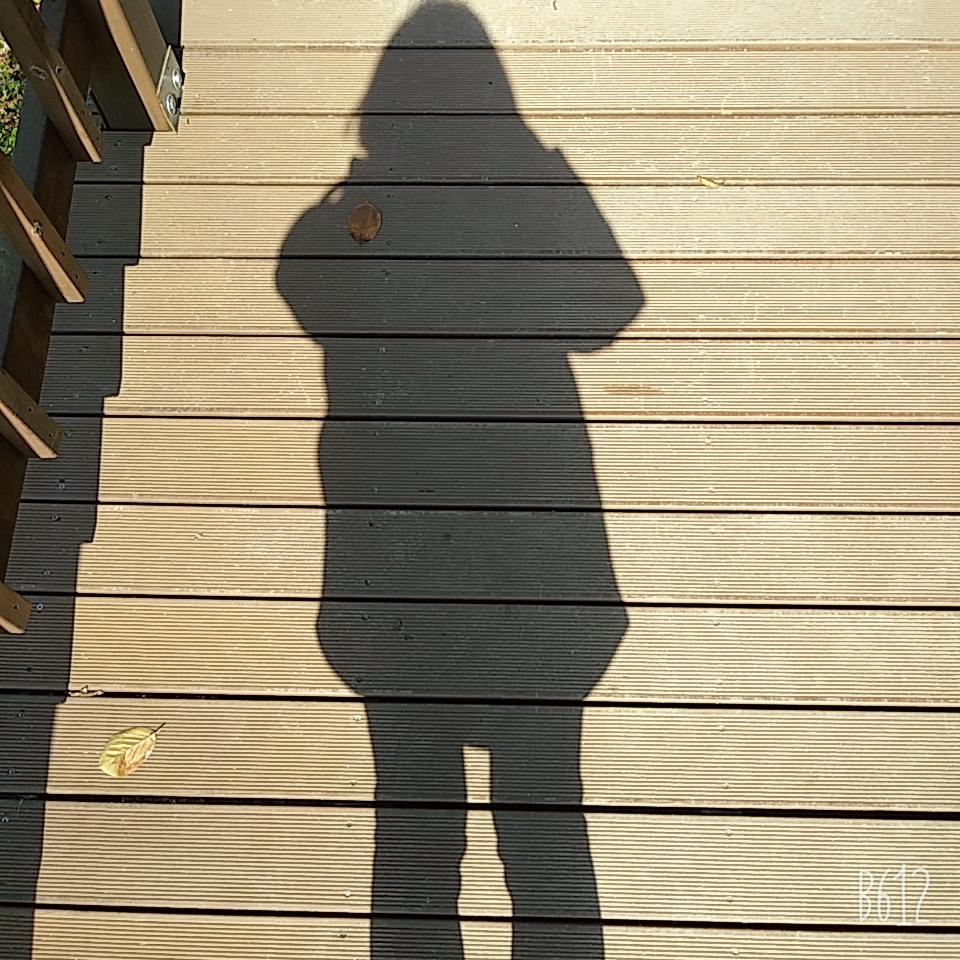 잘살아보고싶다