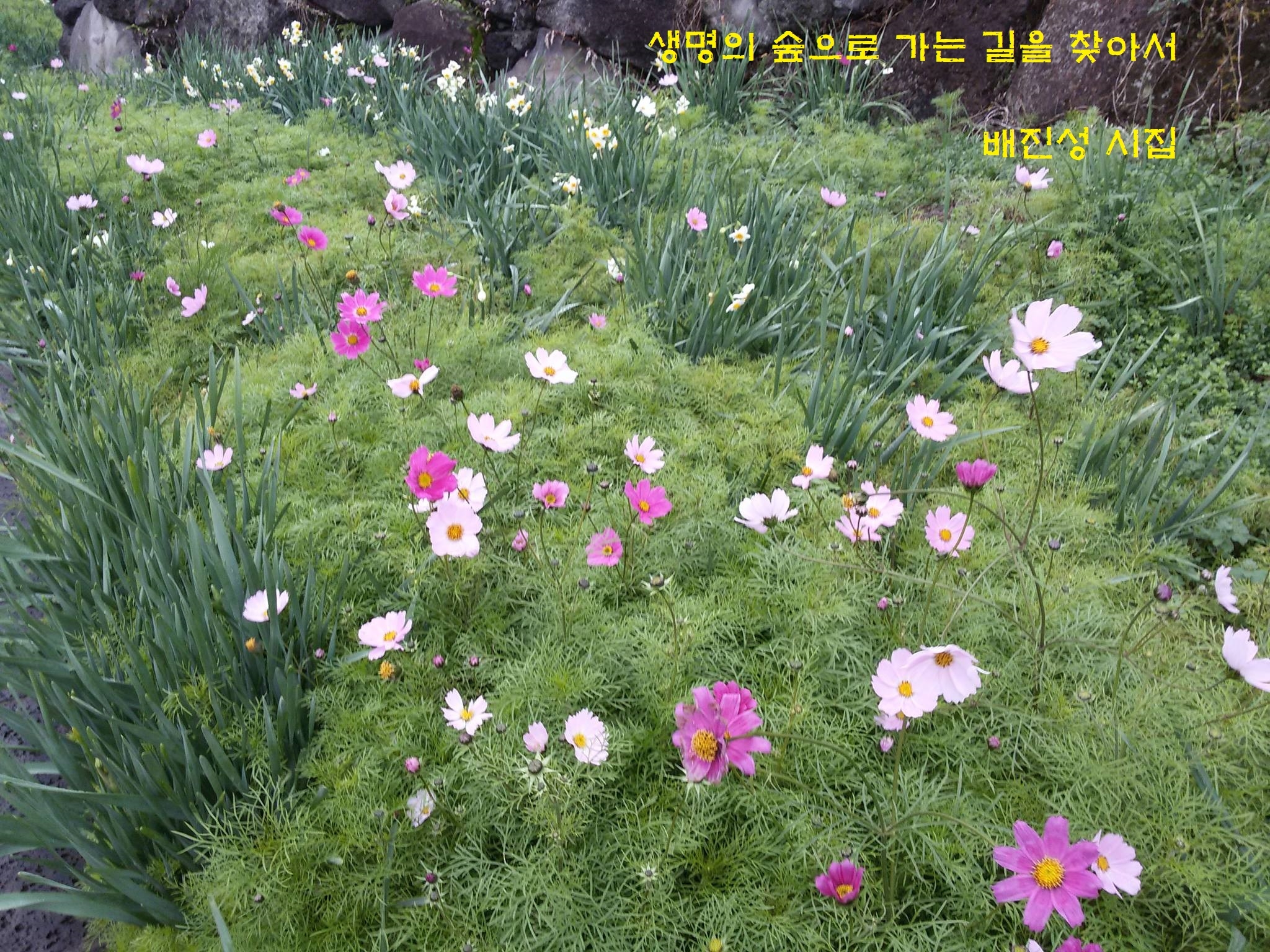 생명의 숲으로 가는 길을 찾아서