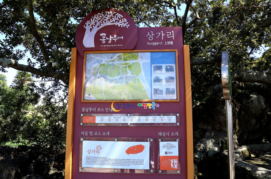 천년퐁낭