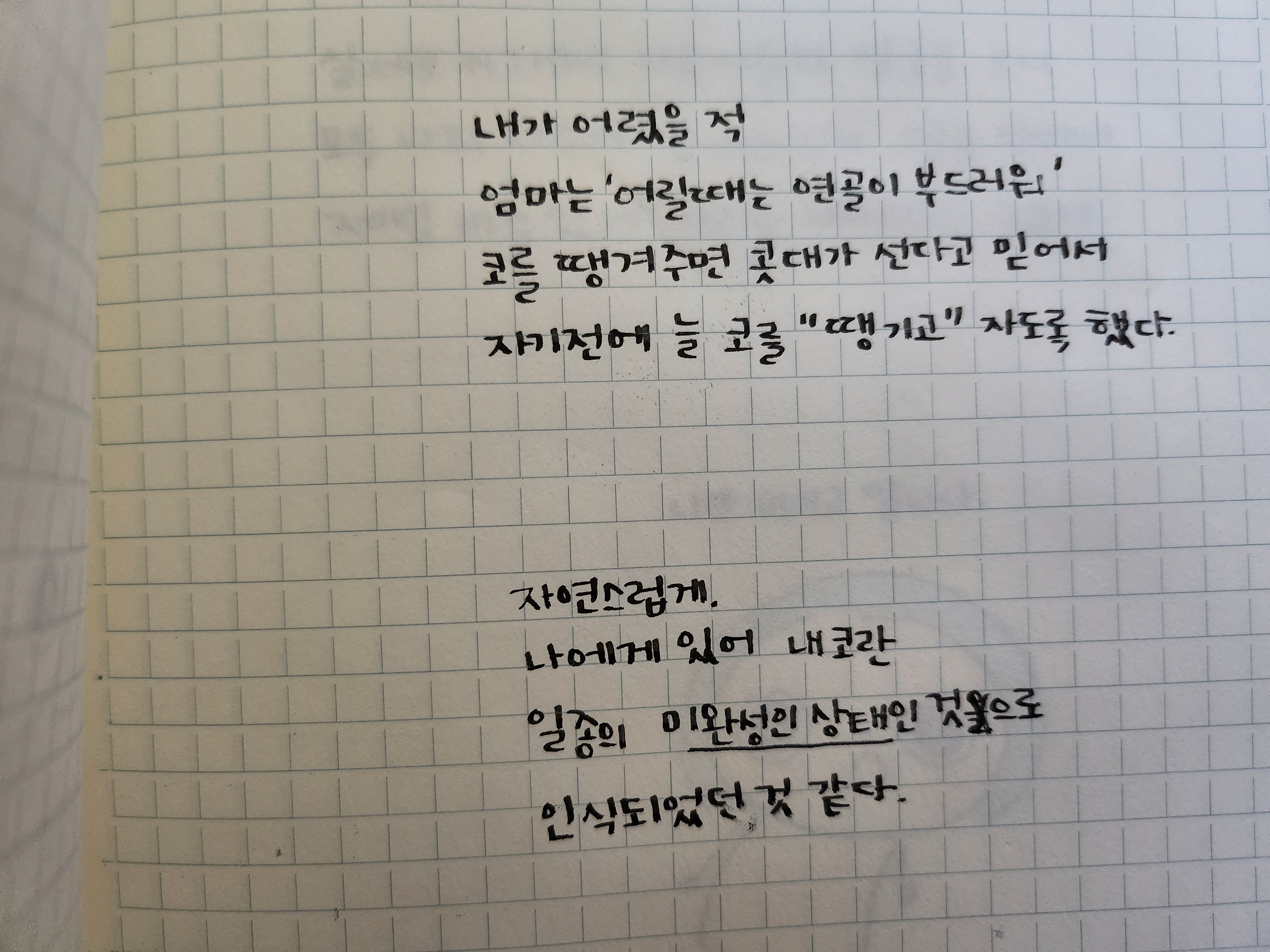 돼지코