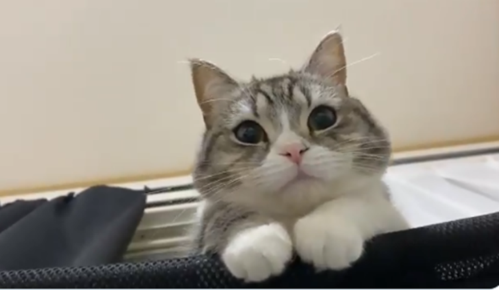 늦잠 이미지