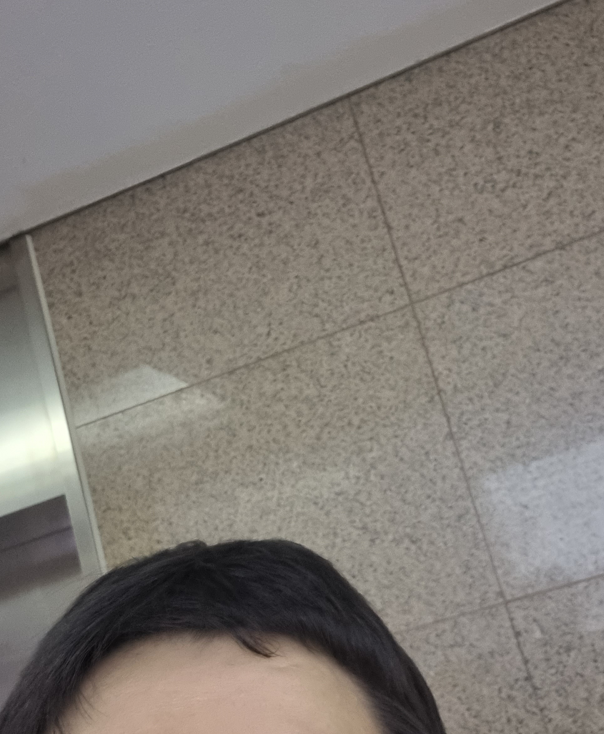 박니니