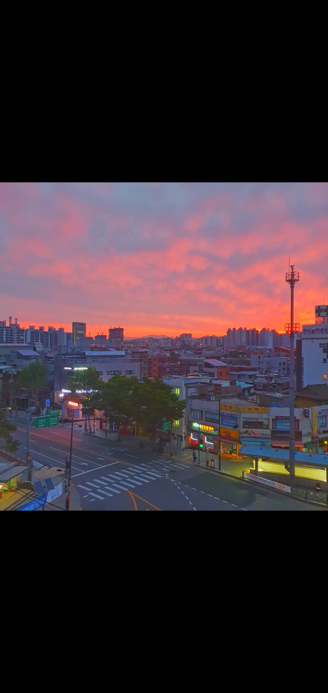 귤이동귤동귤해