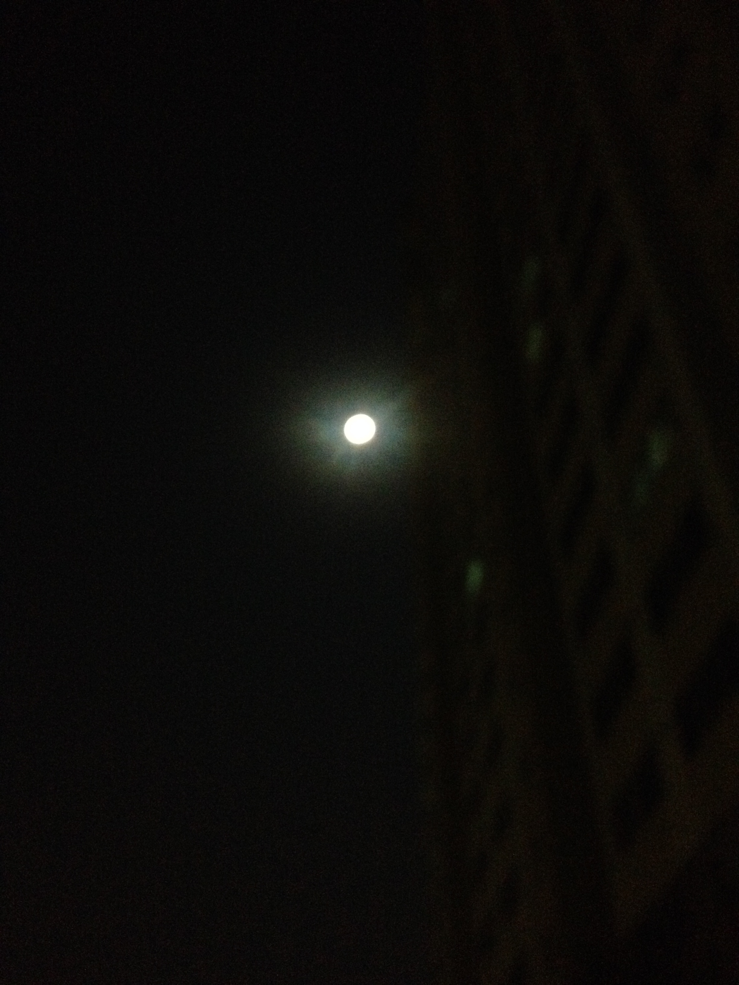 장코