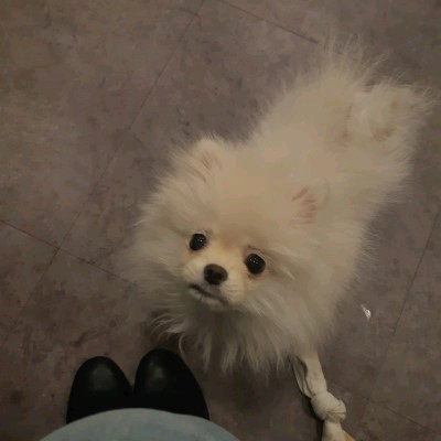 피자먹으면서혼맥하기