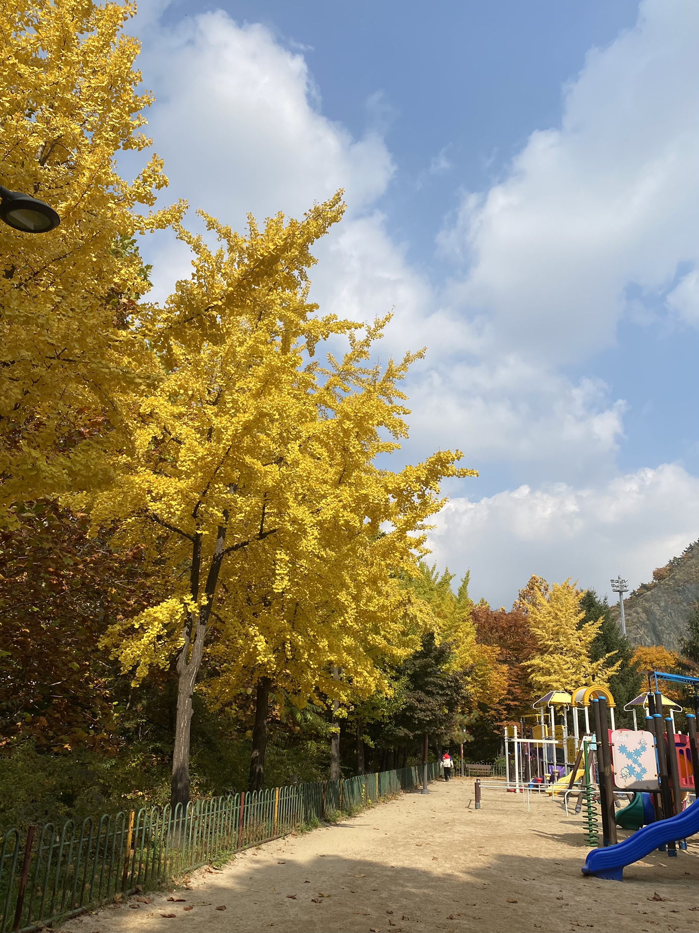 길 잃은 마피아