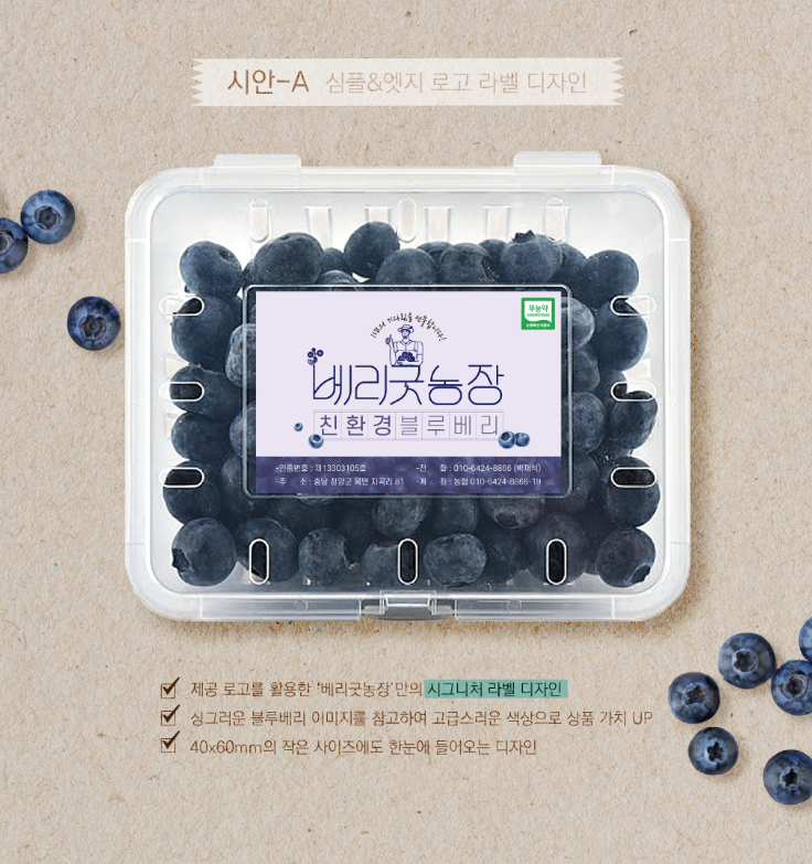 블루베리디자인 이미지