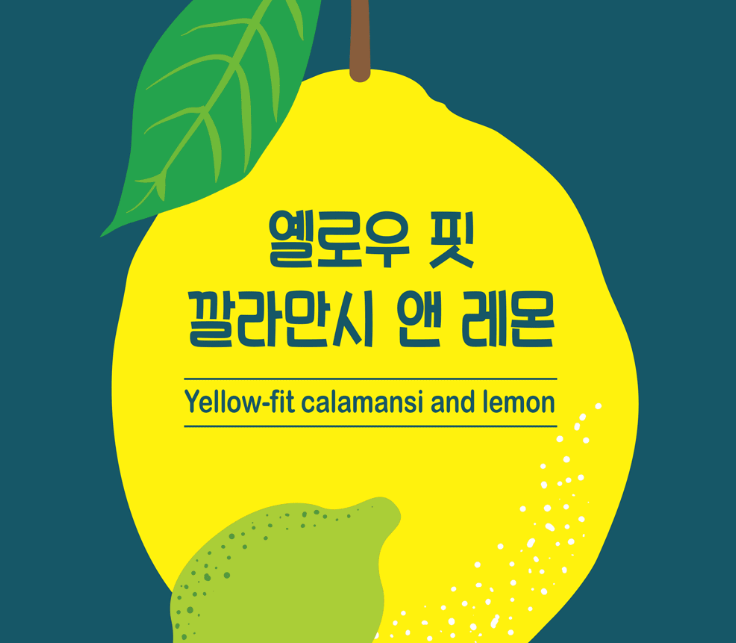 레몬디자인 이미지