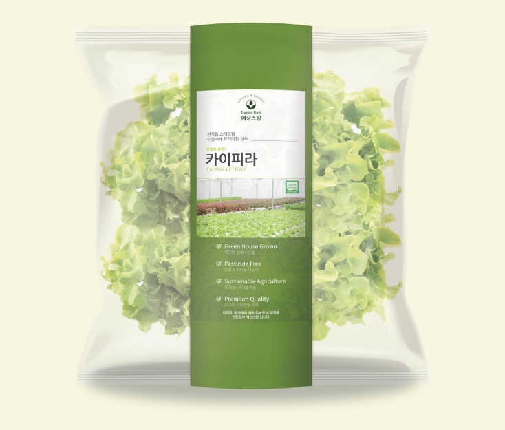 디자인샐러드 이미지