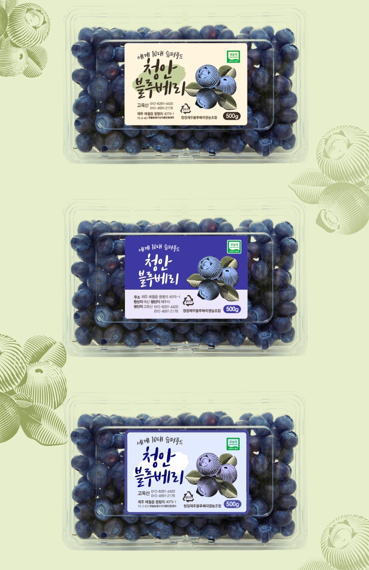 블루베리디자인 이미지