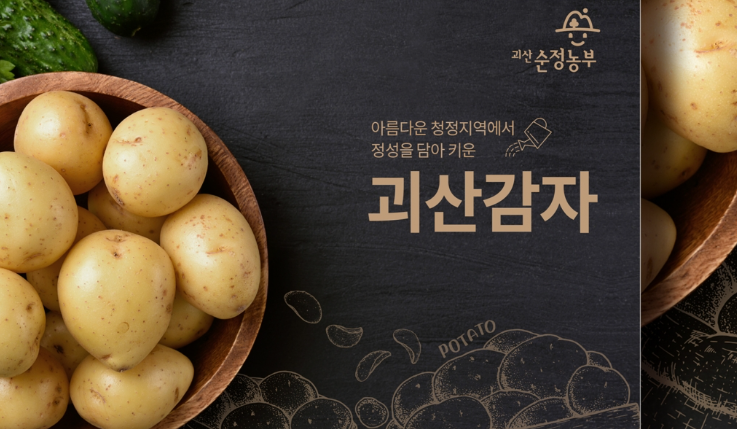 디자인감자 이미지