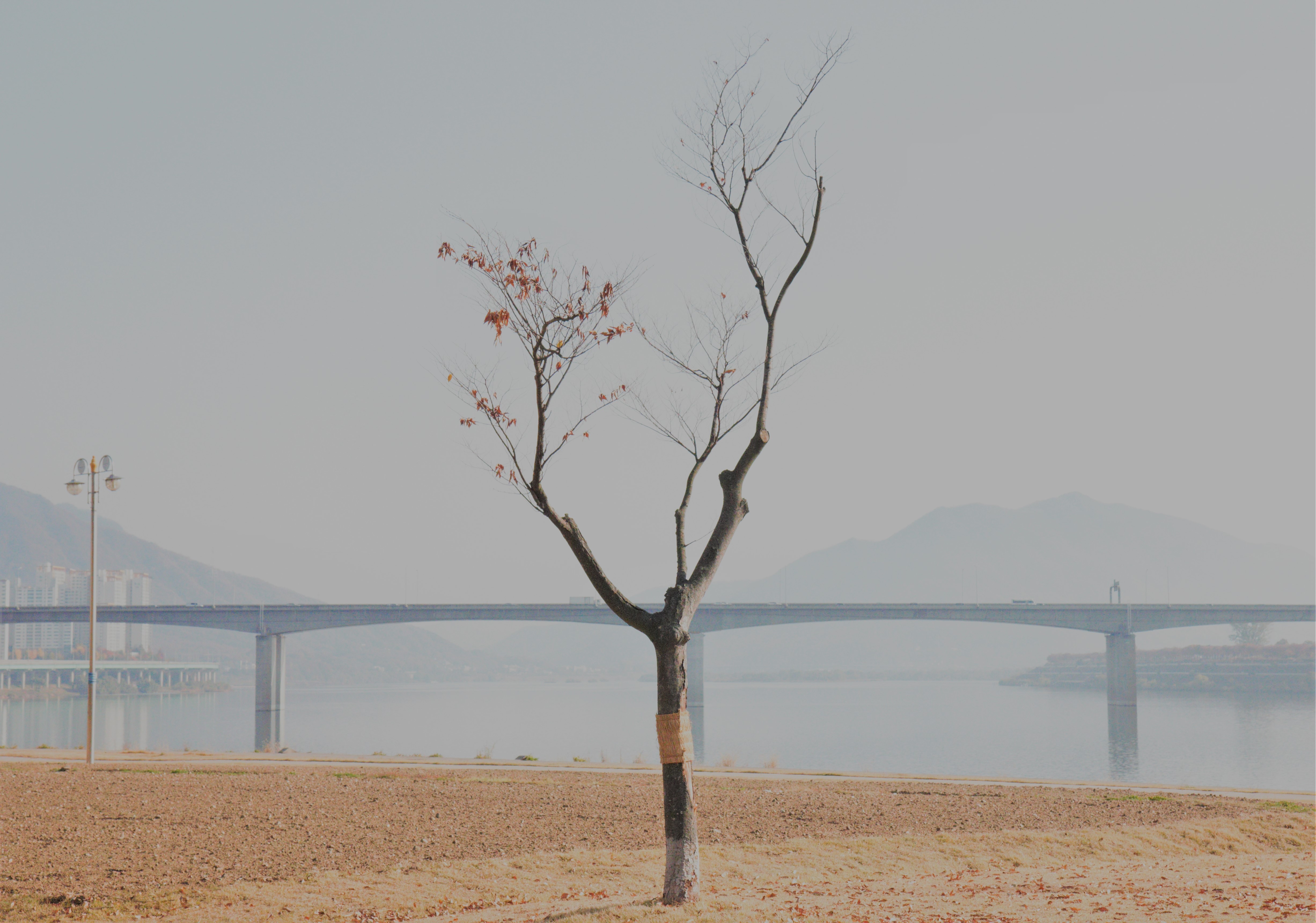 구도의 생활