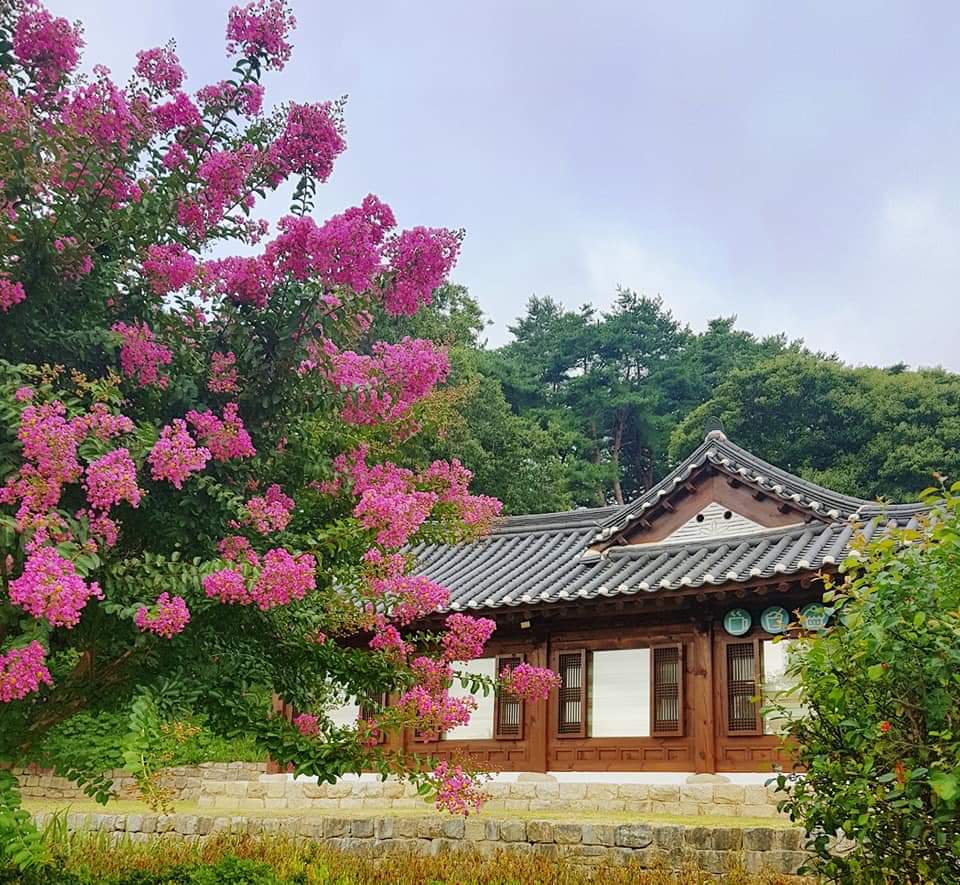강원도 강릉 바다여행