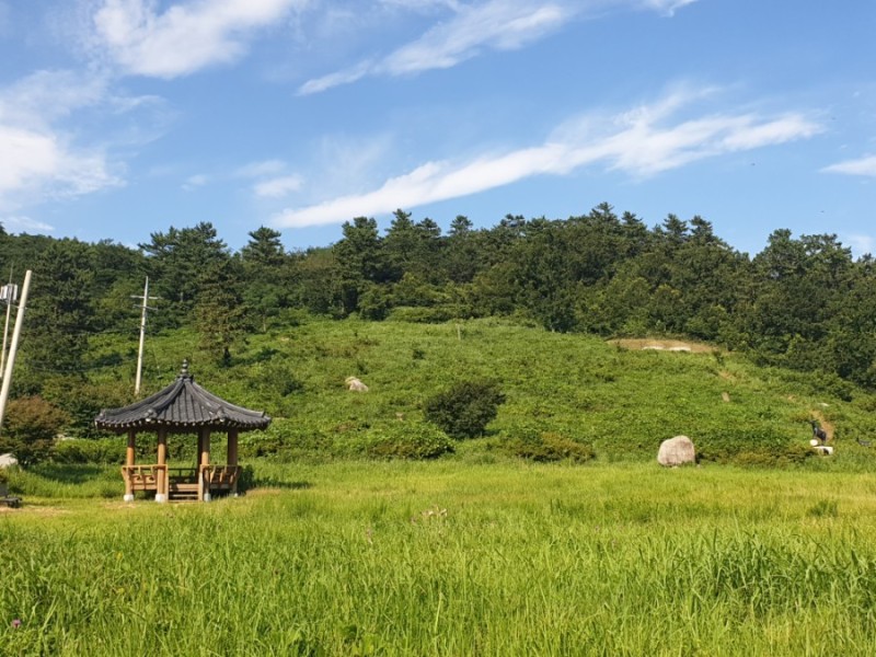 약초흑염소 이미지