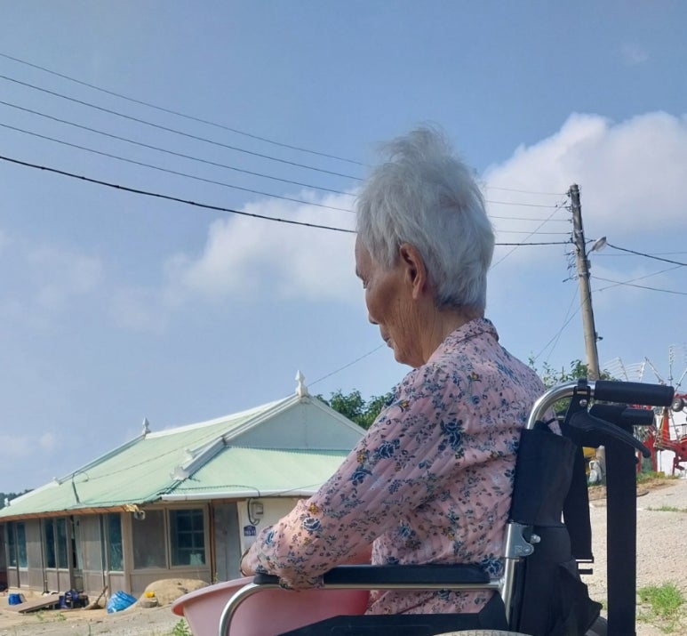 엄마밥아들술 이미지
