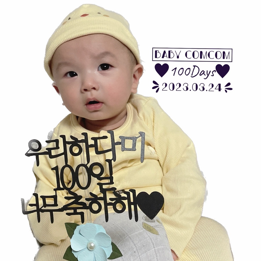 하담 이미지
