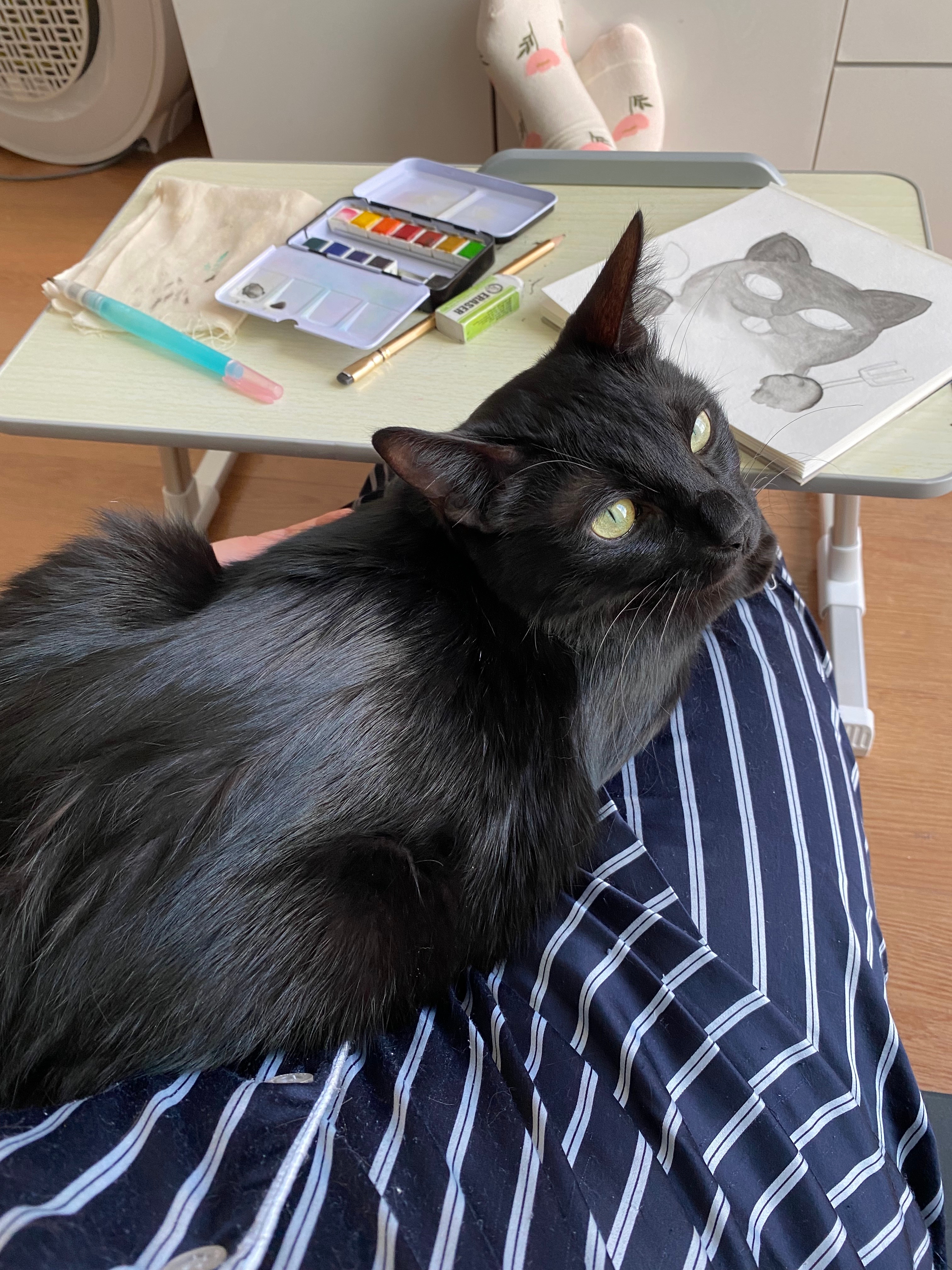 대충이라도 하자