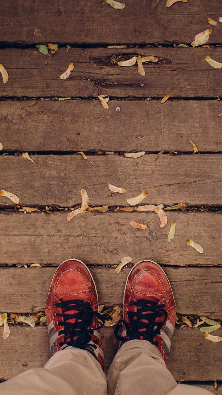 포레스트호스트