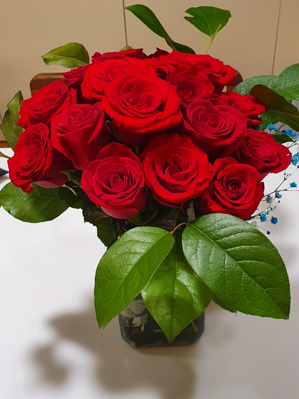 아름다운 인생을 꿈꾸며