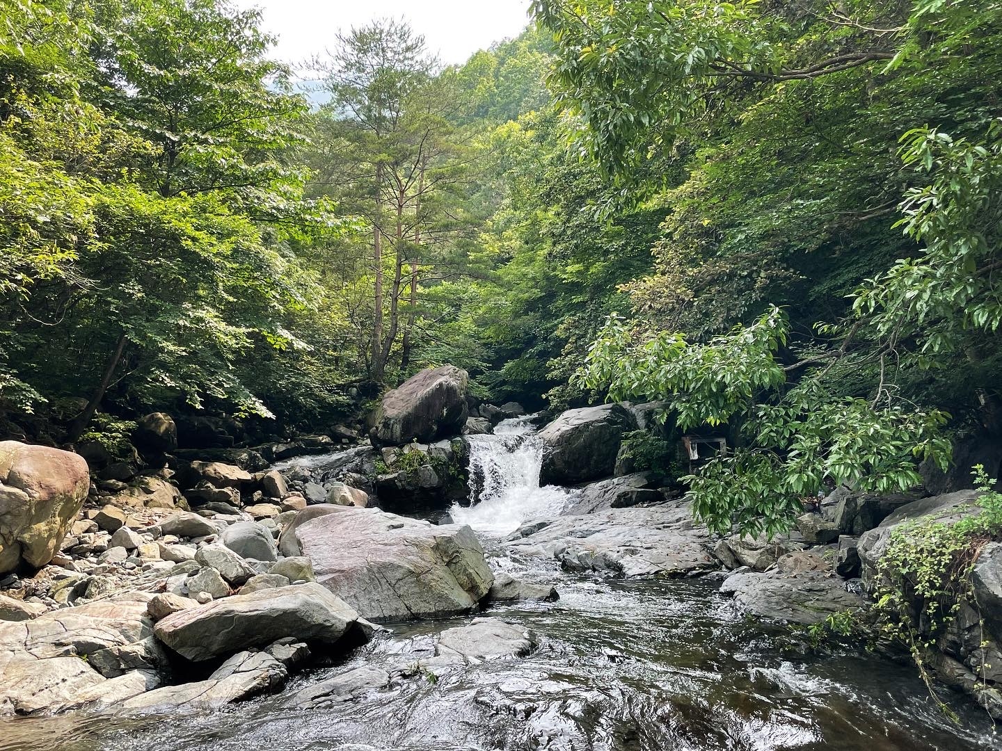 산청토박이 이미지