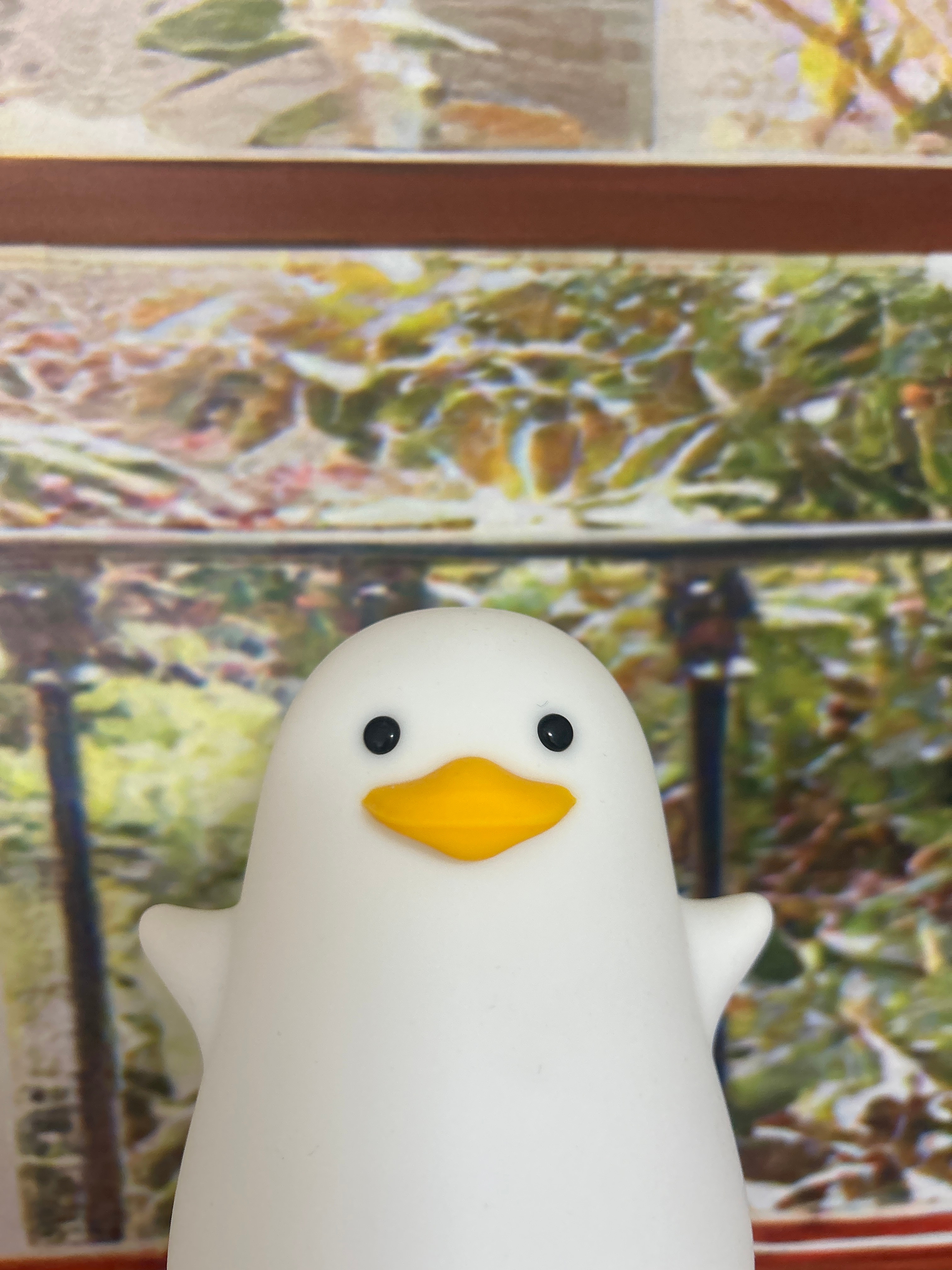 오리는둥둥
