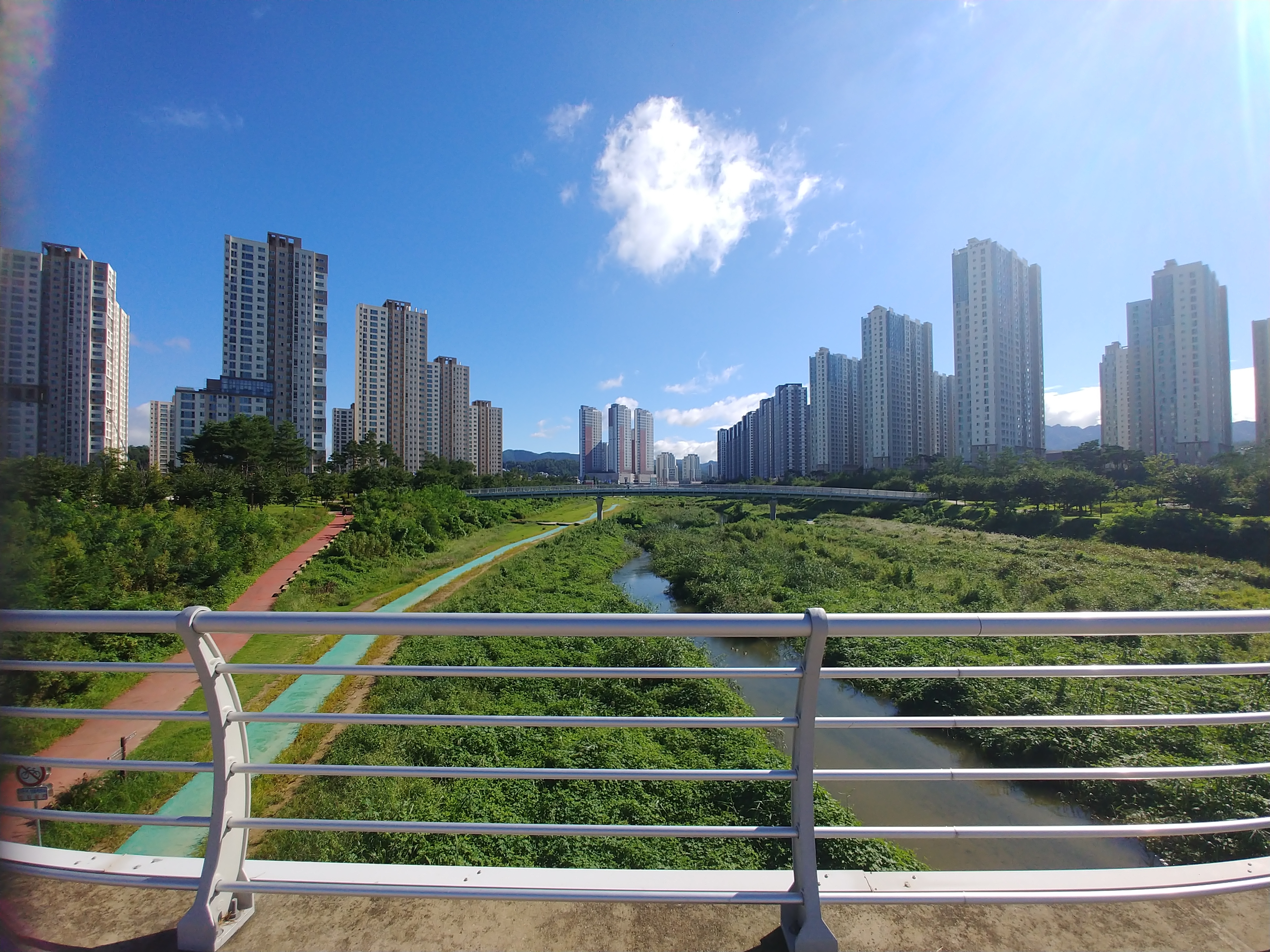 One day I will fly away