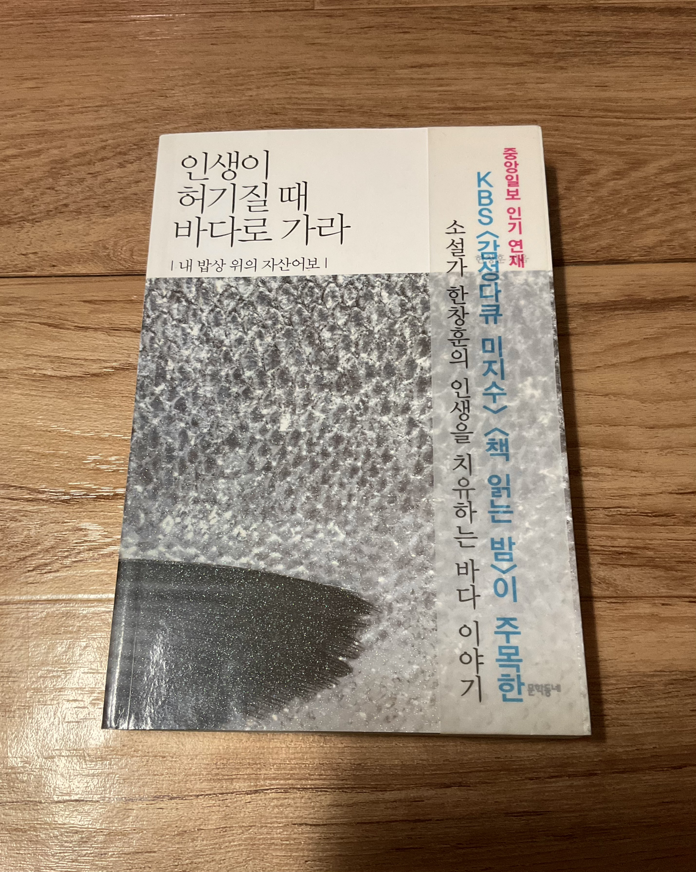 인생이 허기질 때 바다로 가라