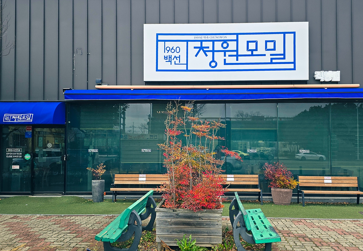 1960청원 이미지