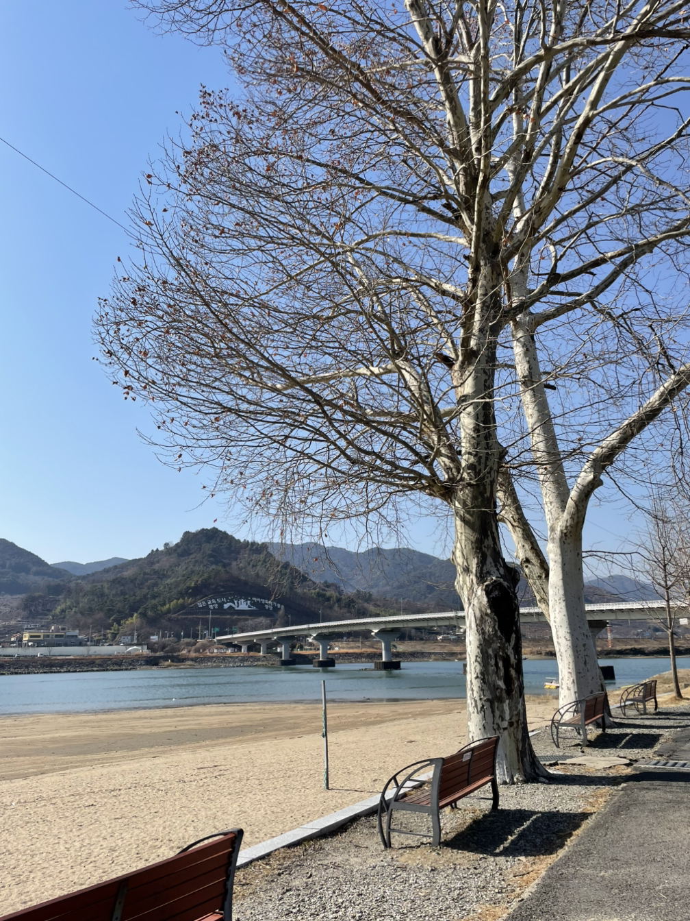 햇살한줌 이미지