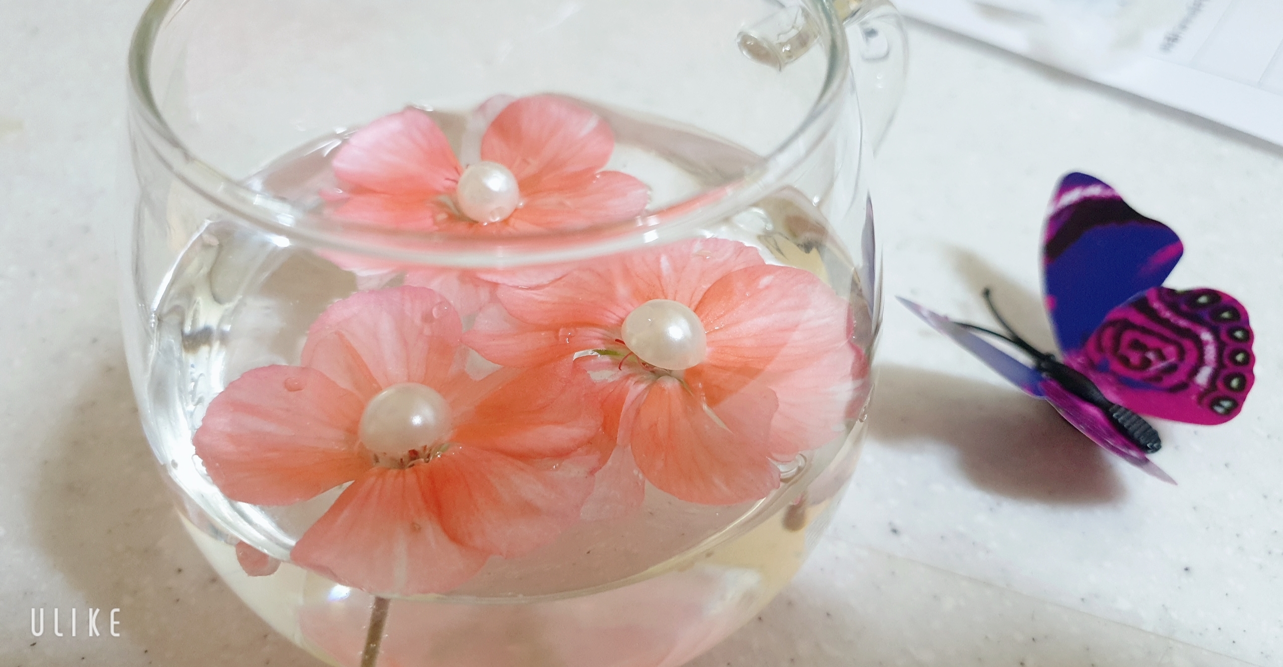 고흐를 사랑하는 아낙