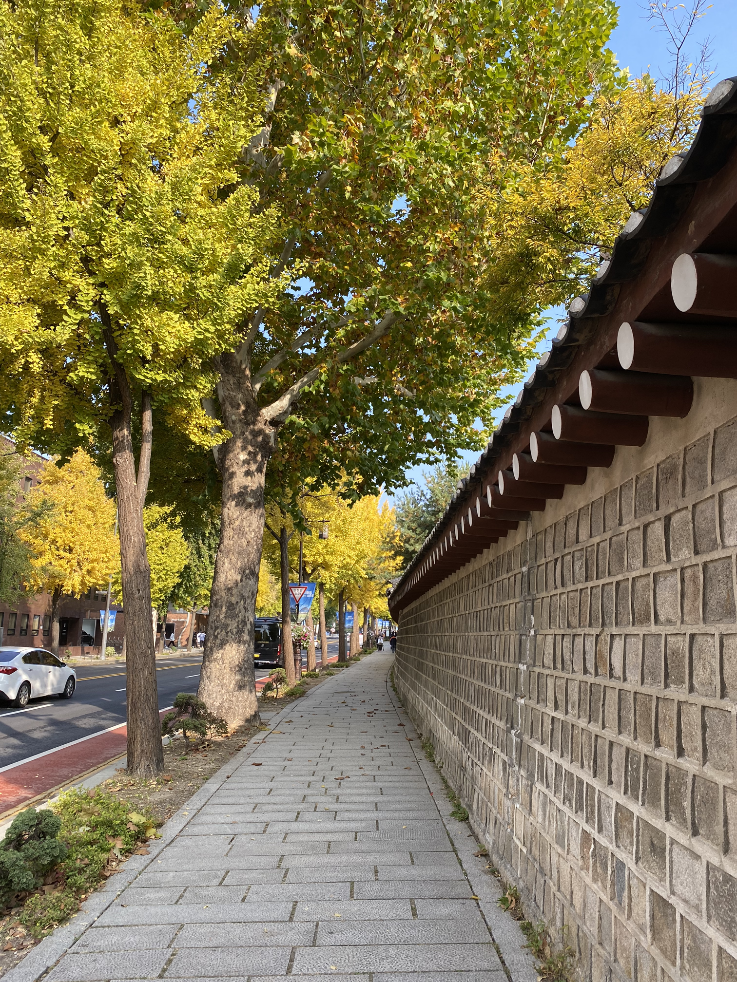 수채화 같은 삶