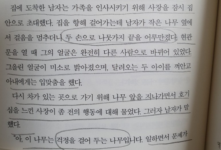 나무소울 이미지