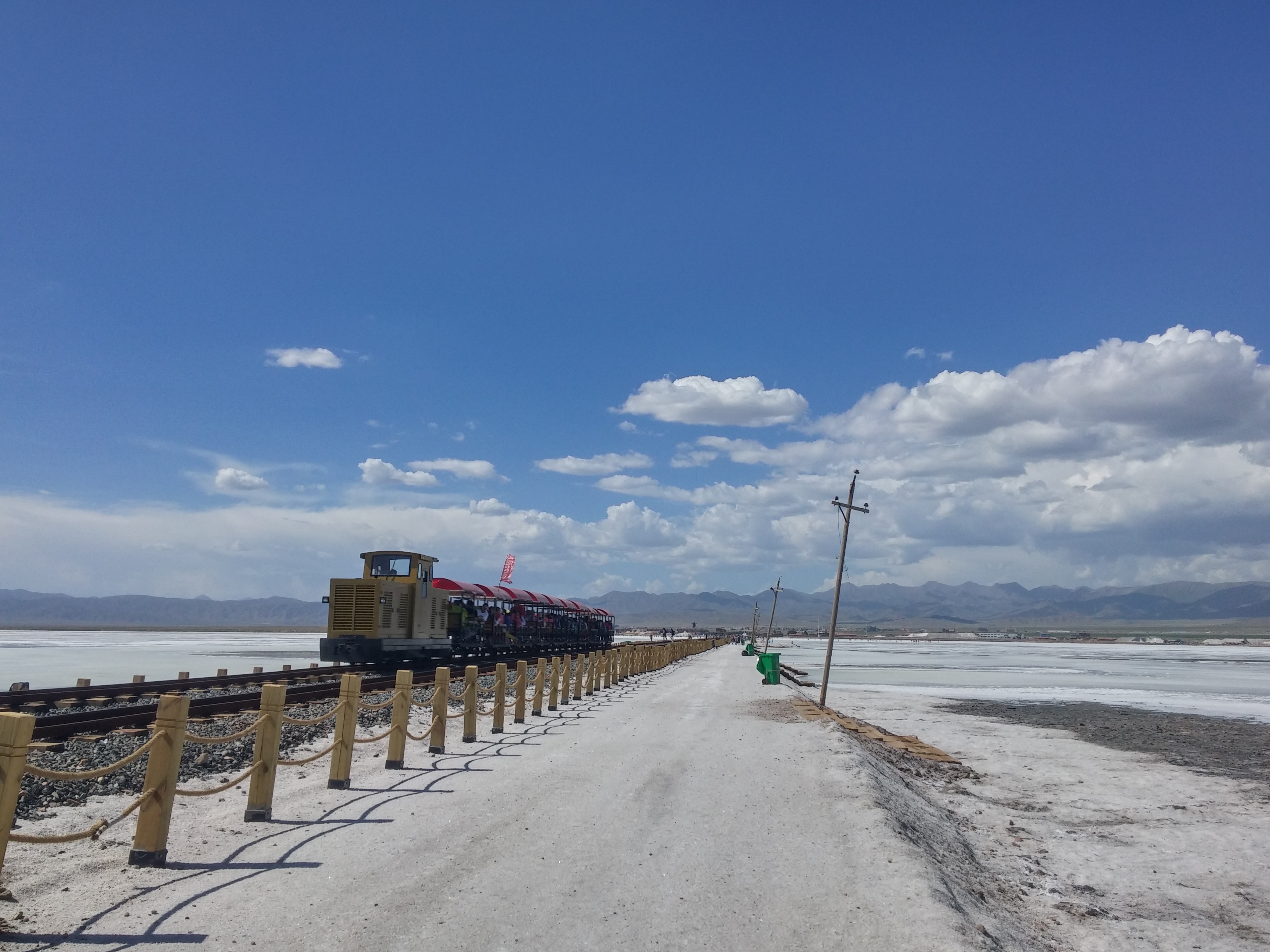 물구나무소리숲