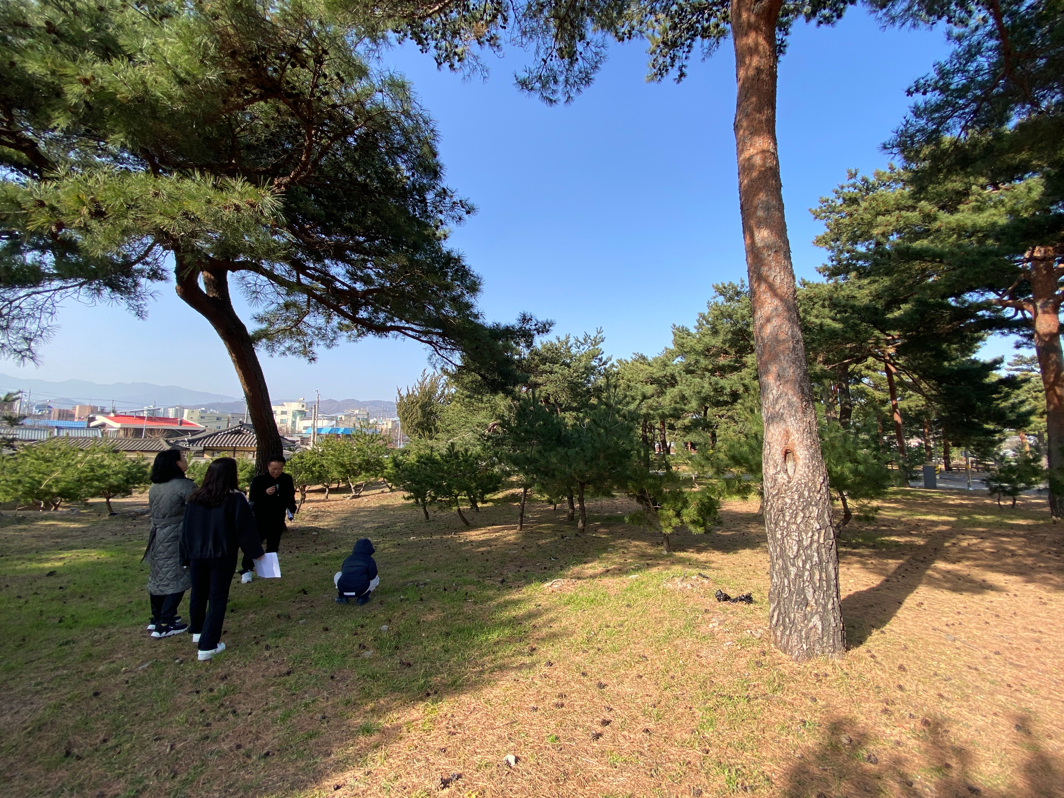 천일세탁소 이미지