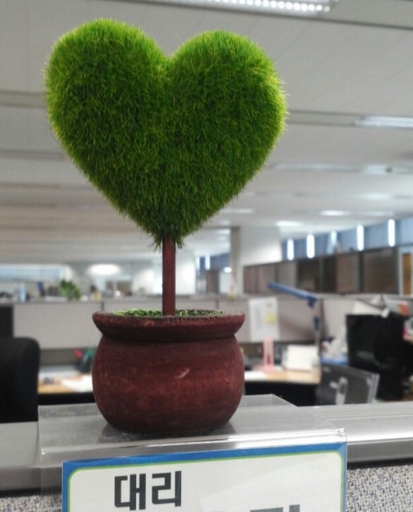 김대리의 센다이 잡화점