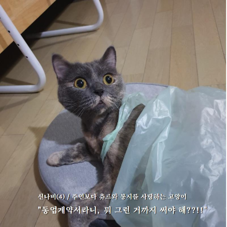 법무법인지혜 이미지