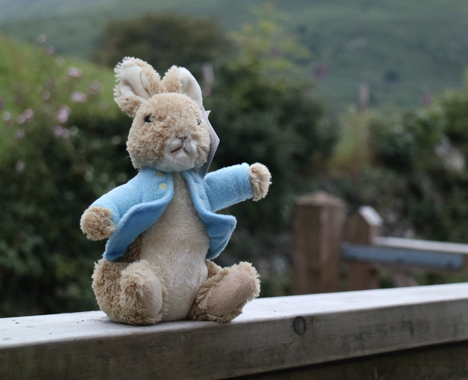 늙은낙타 oldcamel