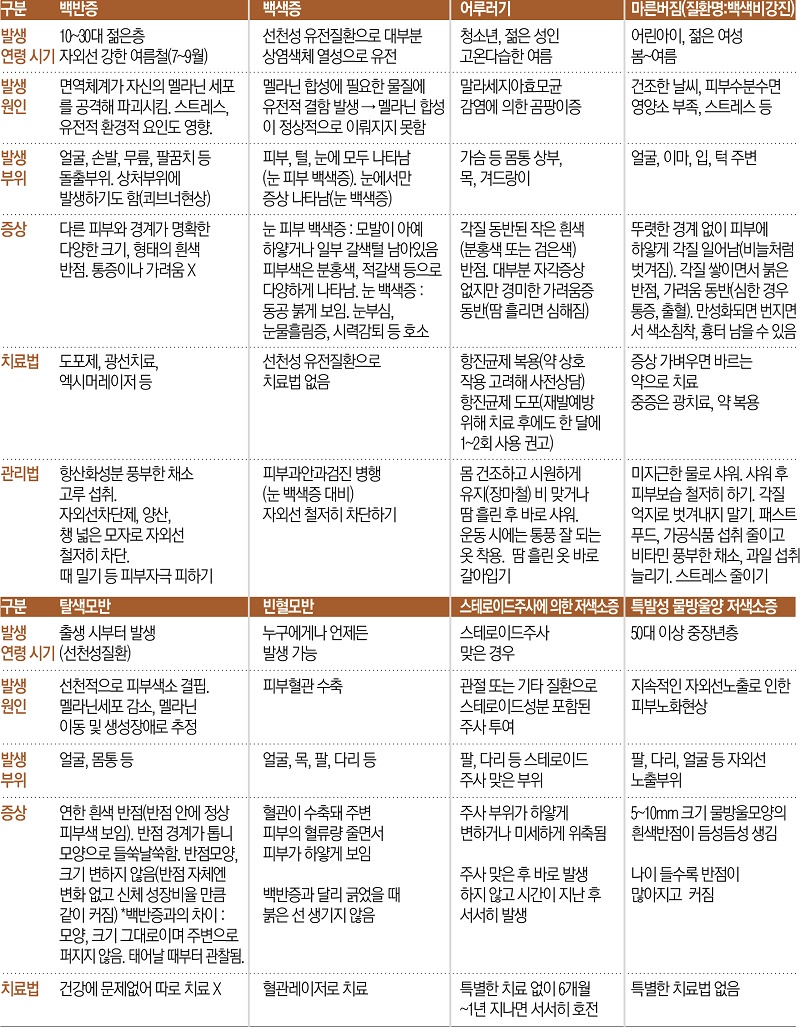 새해반점 이미지