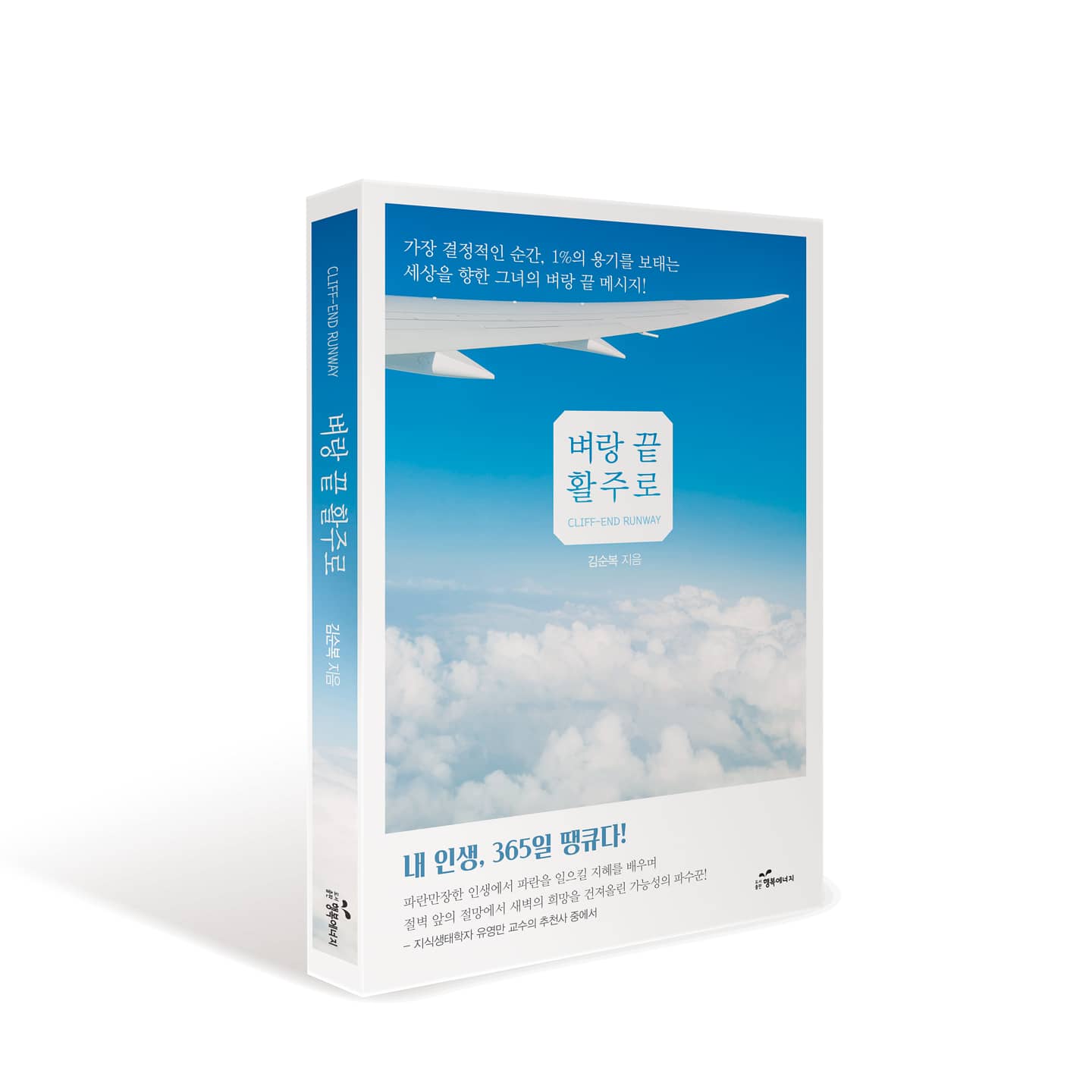 벼랑 끝 활주로 저자
