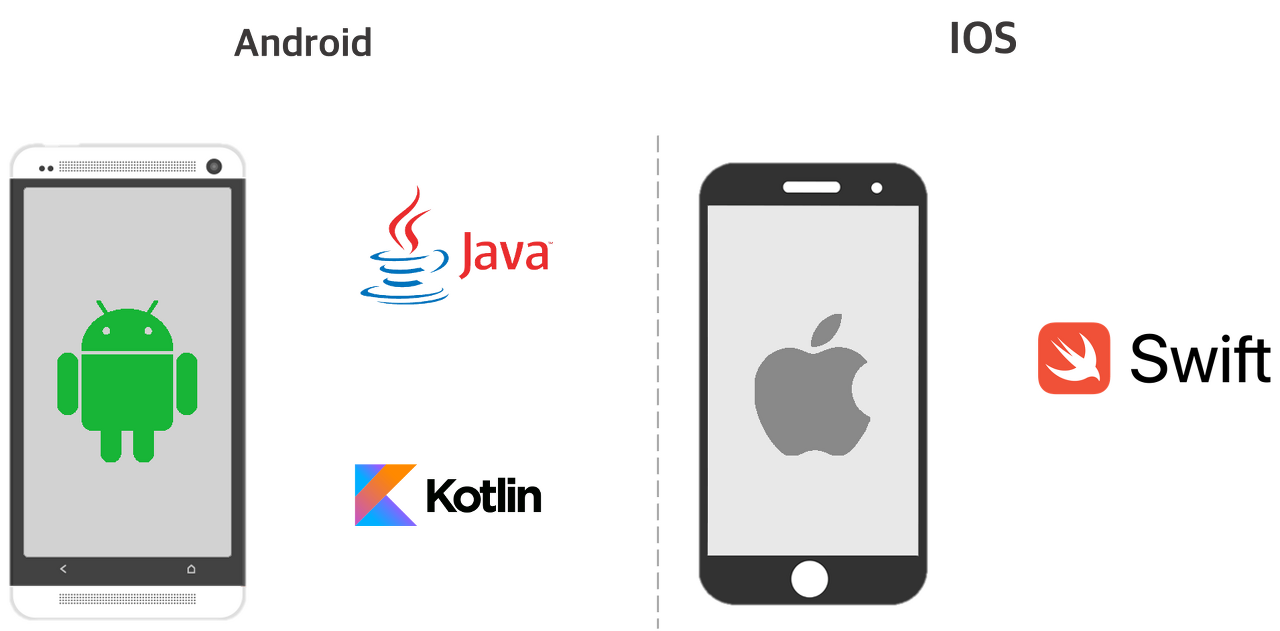 모바일 앱 개발자가 되고 싶다면