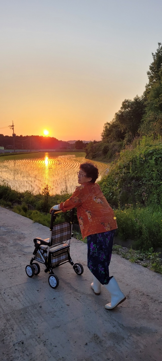 흐르는강물처럼날아가는새들처럼