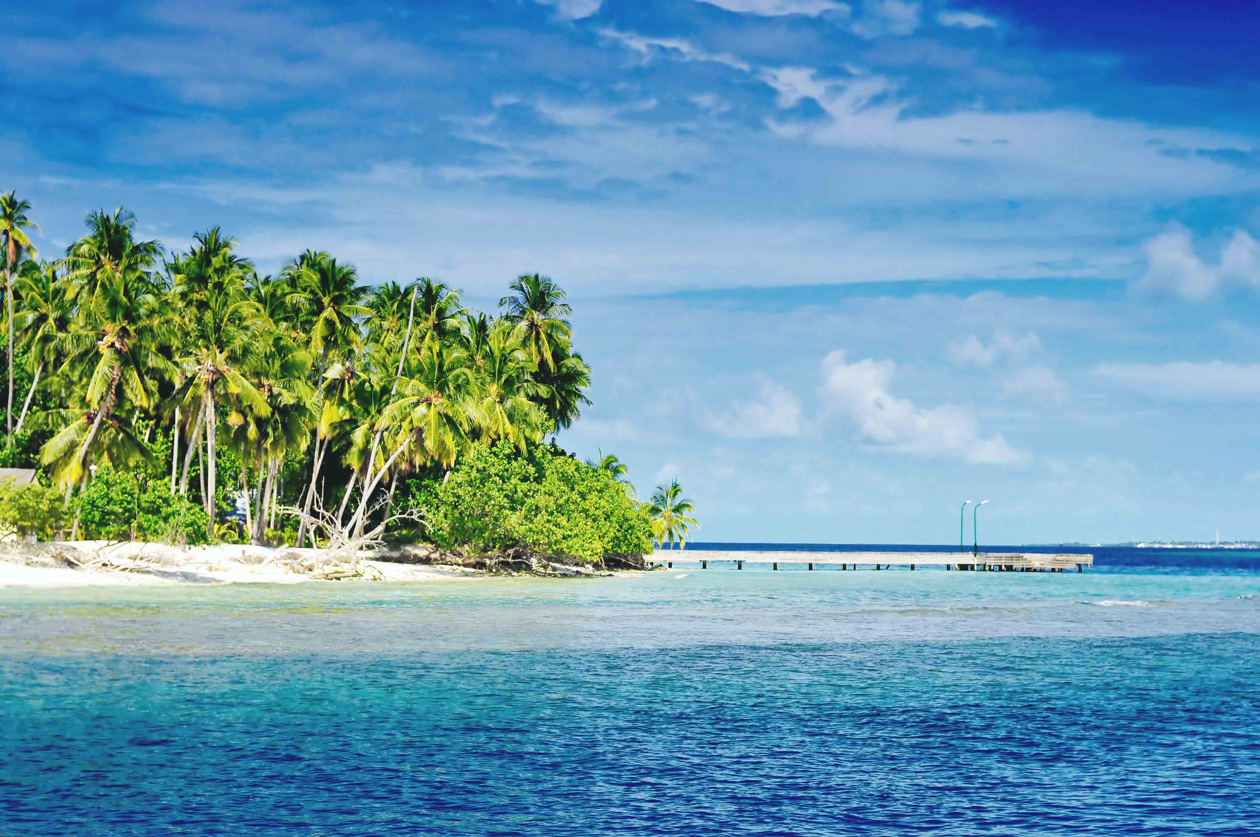 풍요로운포도밭