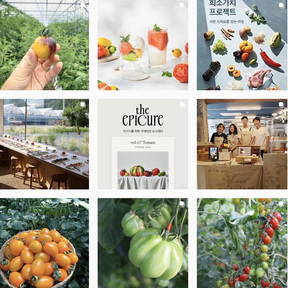 158) 토마토를 좋하 한다면, 그래도팜