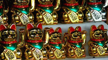 luckycharm_cat.jpg