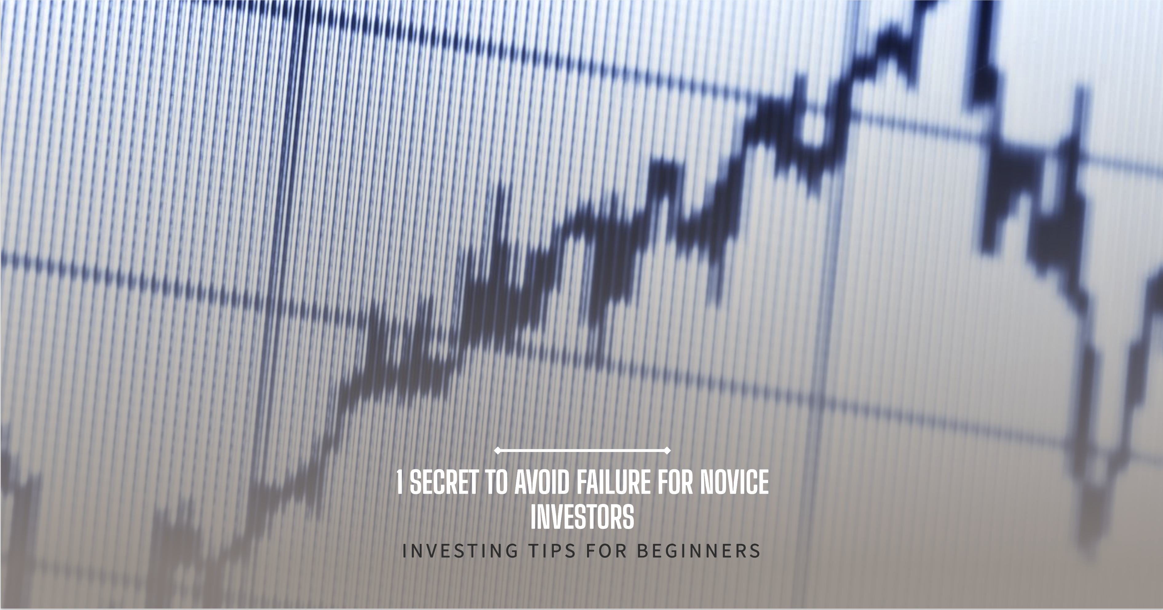 초보 투자자가 실패하지 않는 비법 1가지.