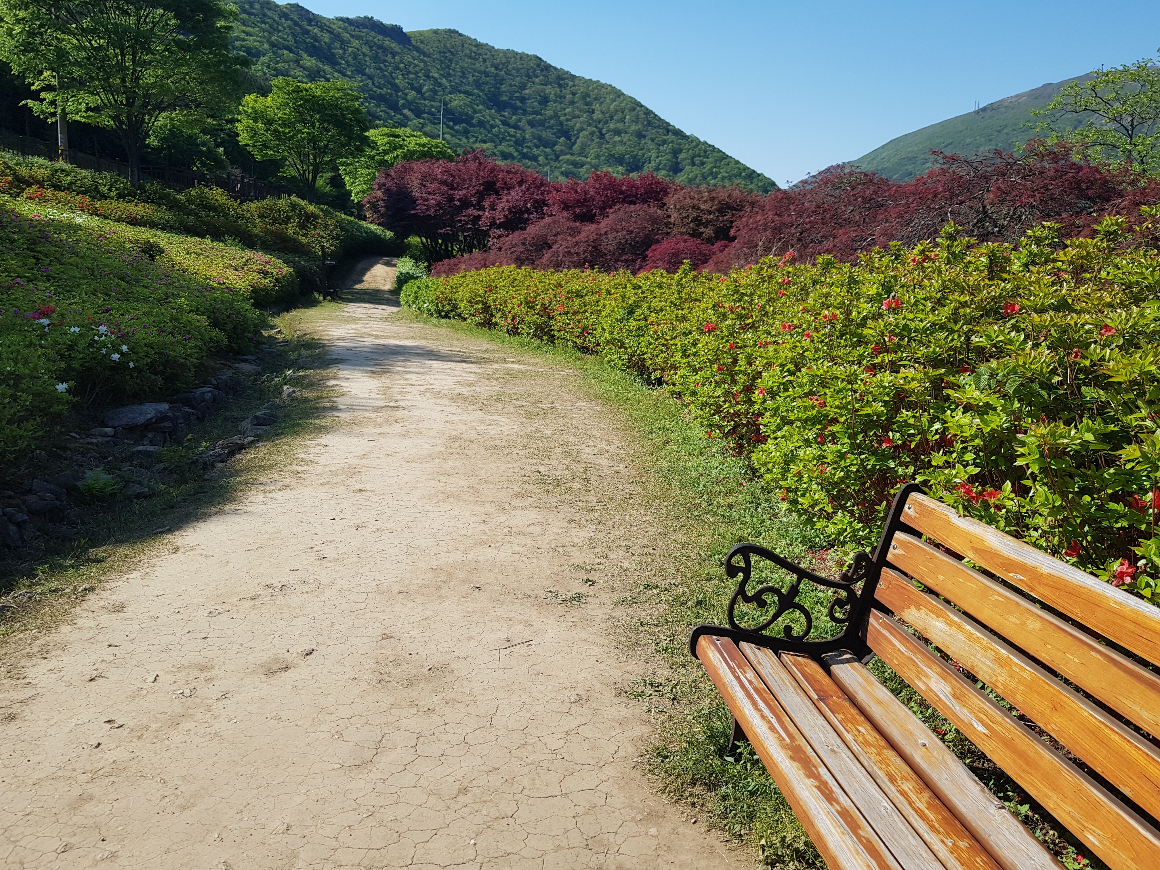 아메리카노 샷추가