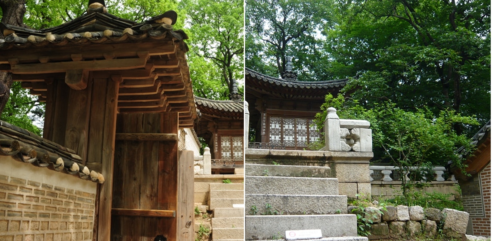 마로니에쉼터 이미지