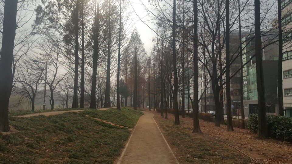 와이엠프로젝트 이미지