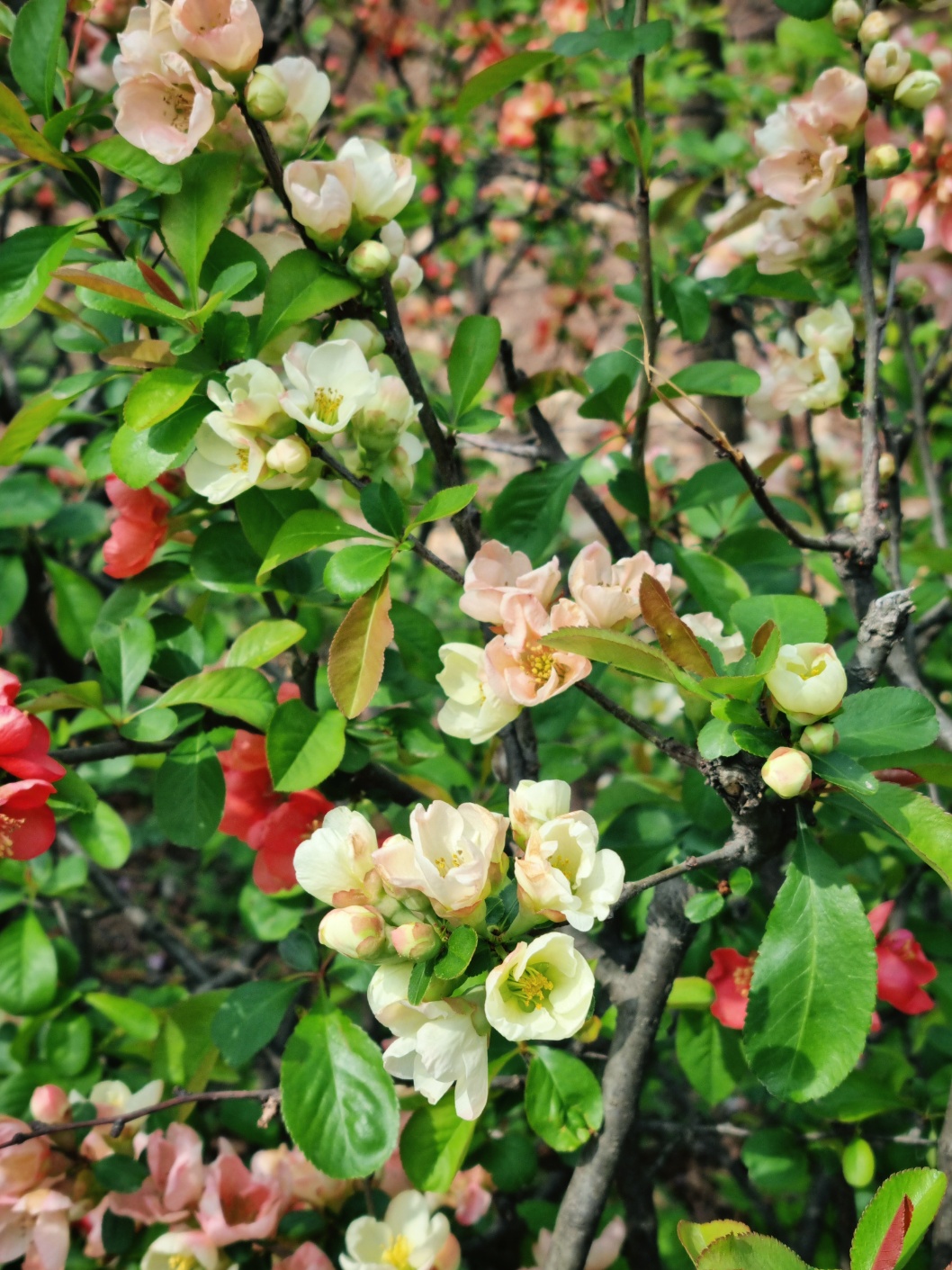 버터바른모닝빵
